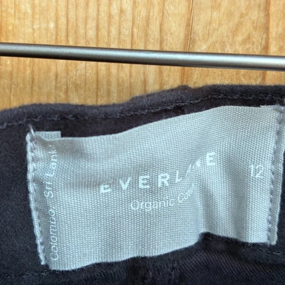 Everlane NWT Moleskin Way High Pants Sz 12